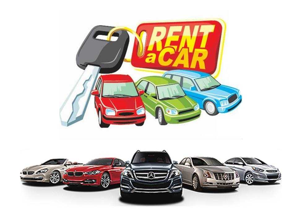Kurucaşile Rent A Car